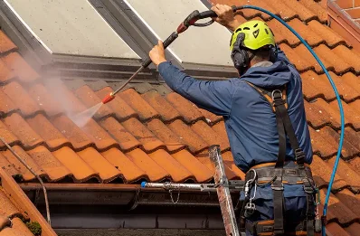 Démoussage et hydrofuge de toiture à Lourmarin